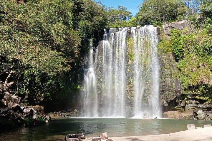 Sloth and Waterfall Eco-Tour in Guanacaste: Coffee, Chocolate & Wildlife photo 5
