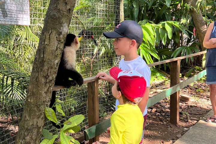 Roatán Zipline, Monkey & Sloth Park: Canopy Zip and Island Culture Tour photo 5