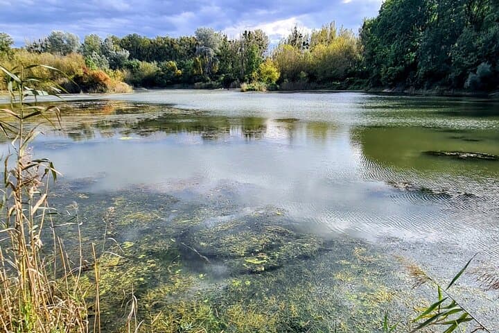 E‑Mountainbike Magic: Vienna Forests, Danube Rides & Heuriger Tastes photo 5