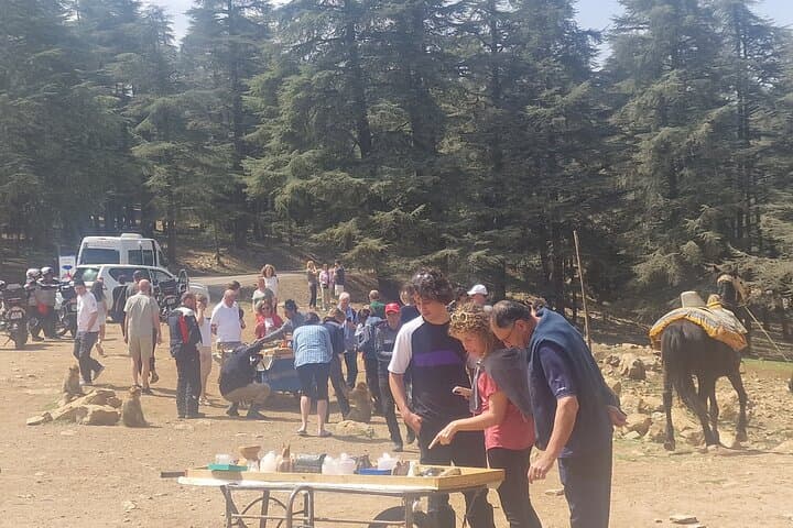 Fes to Middle Atlas Cedar Forest: Private Day Hike with Barbary Macaques photo 4