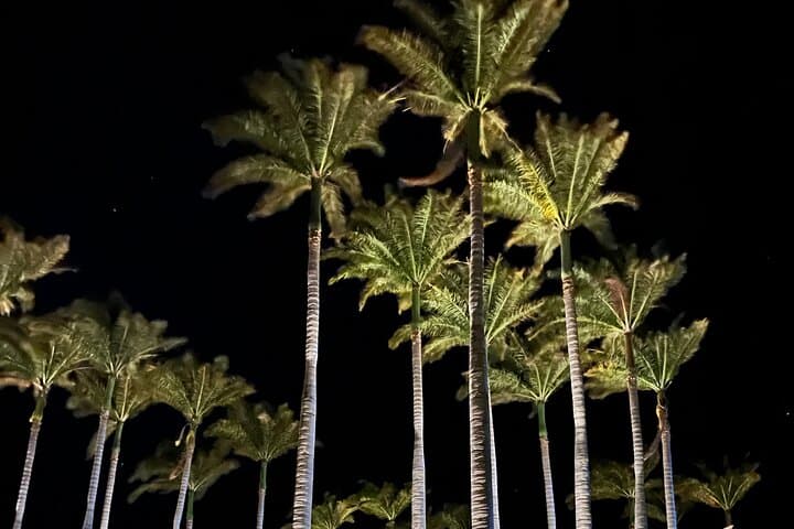 Drive the Big Island: Private Full-Day Circle Tour from Kona photo 3