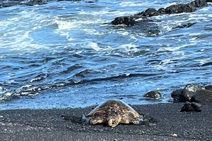 Drive the Big Island: Private Full-Day Circle Tour from Kona photo 6