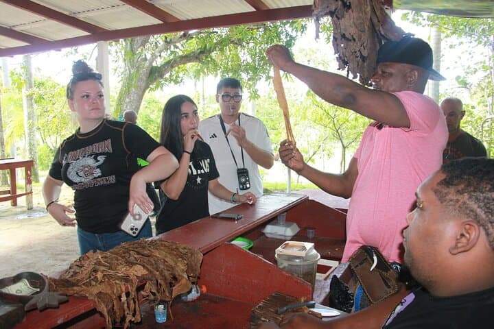 Punta Cana Jungle & Dominican Culture: 5-in-1 Adventure with Zipline, Horseback, River Lunch & Buggies photo 6