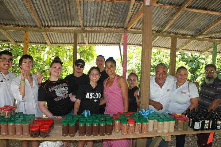 Punta Cana Jungle & Dominican Culture: 5-in-1 Adventure with Zipline, Horseback, River Lunch & Buggies