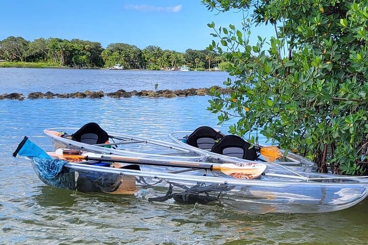 Clear Kayak Eco Tour in Jupiter FL — Manatees, Mangroves & Sandbars photo 2