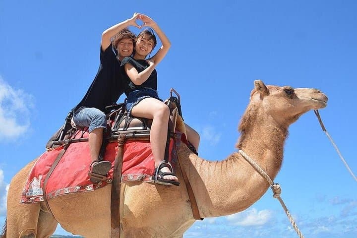 Morning Desert Safari in Dubai: Quad Bike, Dune Bashing & Camel Ride photo 4