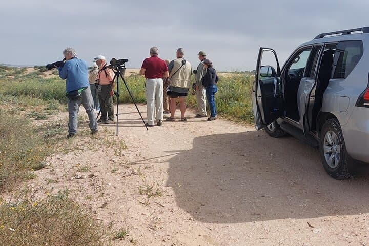 Souss Massa National Park Half-Day Wildlife Safari from Agadir photo 2
