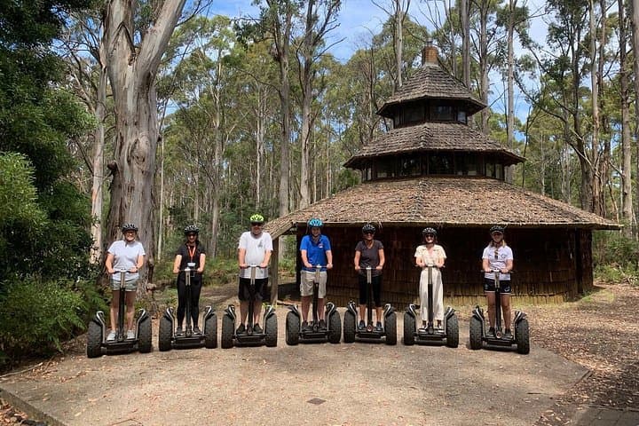 Hollybank Treetops Segway Tour Launceston: 90-Min Forest Ride photo 4