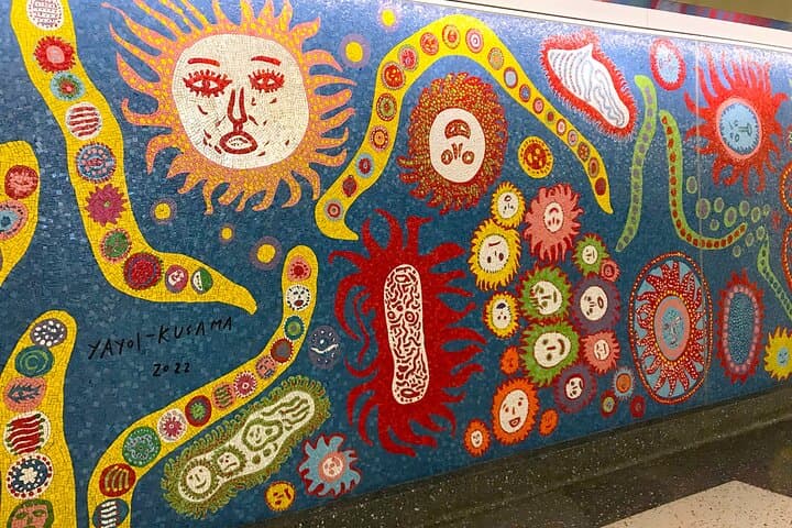 Explore Manhattan's Subway Mosaics with an Award‑Winning Artist photo 3