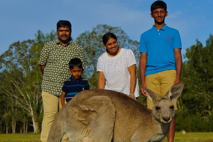 Kangaroos, Rainforest & Waterfalls — Springbrook Full-Day Wildlife and Waterfall Walk photo 6