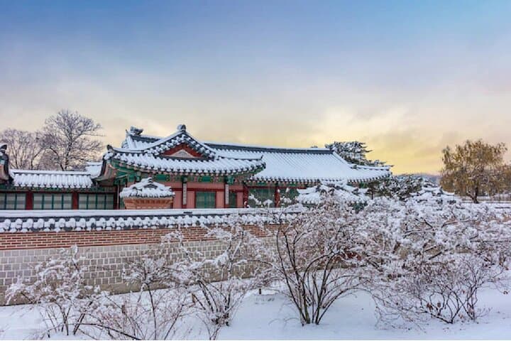 Seoul Cultural Deep Dive: 5-Day Korean Wave History Tour