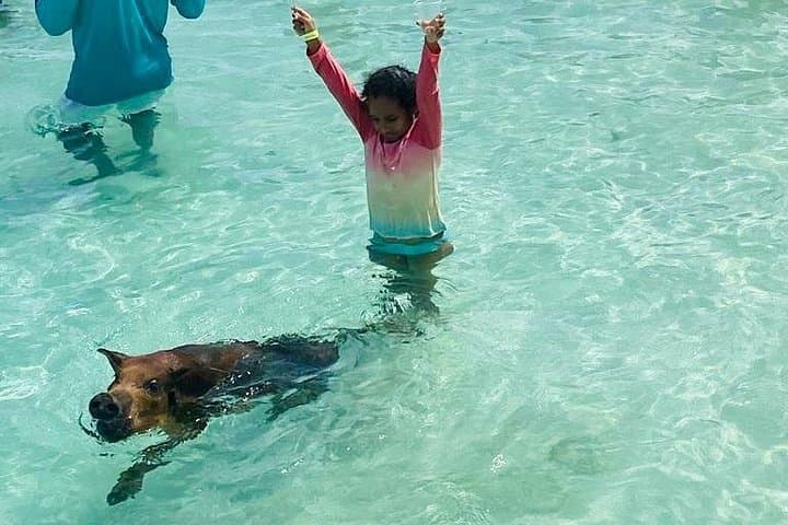Luxury Catamaran Cruise: Sip, Sail, Snorkel & Swim with the Bahamas' Famous Pigs photo 3