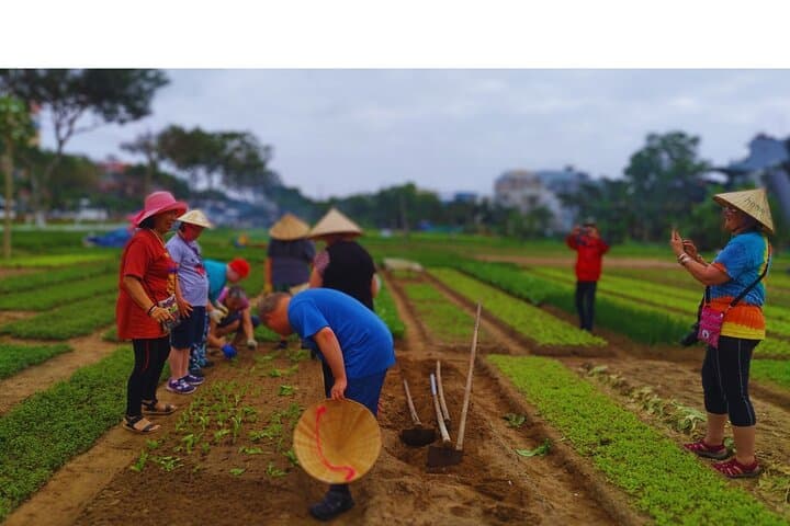 Explore Danang: Historical Insights and Culinary Delights photo 2