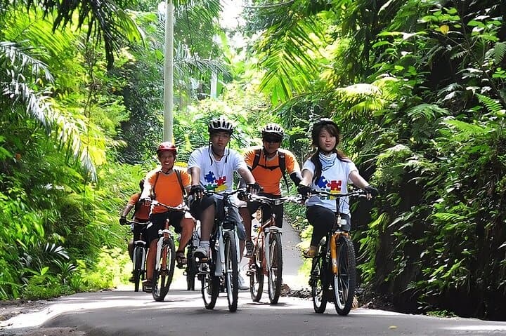 Full-Day Bali Cycling & Ubud Temples Waterfall Tour — Downhill Ride from Kintamani photo 6
