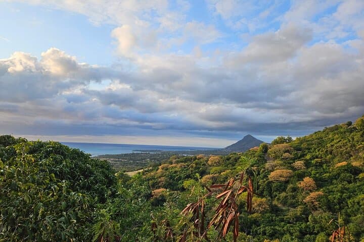 Explore Southern Mauritius: Chamarel, Grand Bassin & Black River Gorges Full-Day Private Tour photo 5