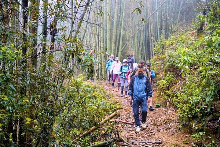 Sapa Day Trek: Y Linh Ho, Lao Chai & Ta Van Rice Terrace Hike photo 4