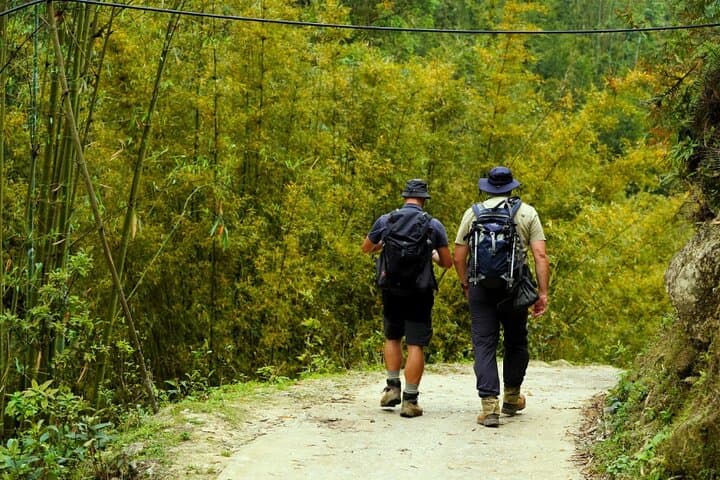 Sapa Day Trek: Y Linh Ho, Lao Chai & Ta Van Rice Terrace Hike photo 1