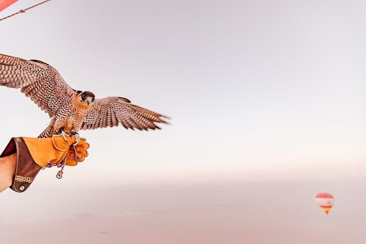 Dubai Hot Air Balloon Ride with In‑Flight Falcon Show photo 6