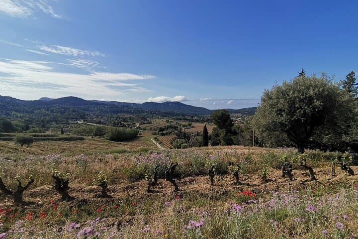 Luberon Wine & Charm: Day Tour of Ménerbes, Lacoste, Gordes & Roussillon photo 2