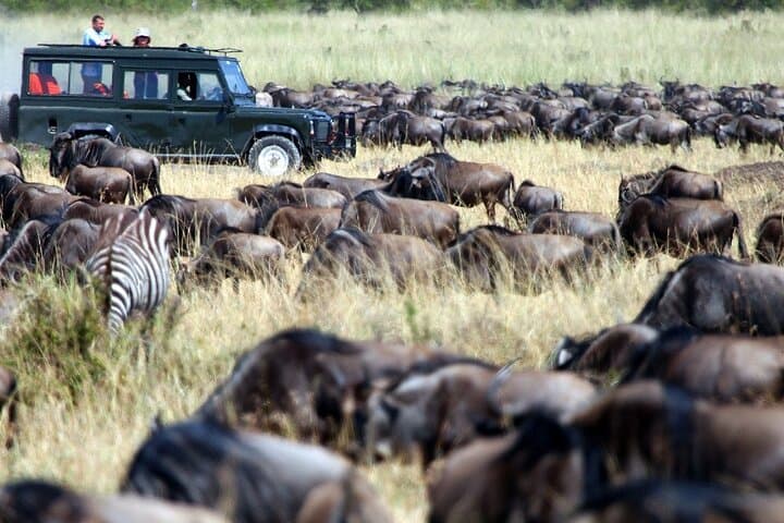 8-Day Kenya and Tanzania Luxury Safari — Masai Mara, Serengeti & Ngorongoro