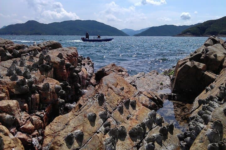 High Island Geopark Hiking Tour: Hexagonal Columns & Coastal Village Experience photo 3