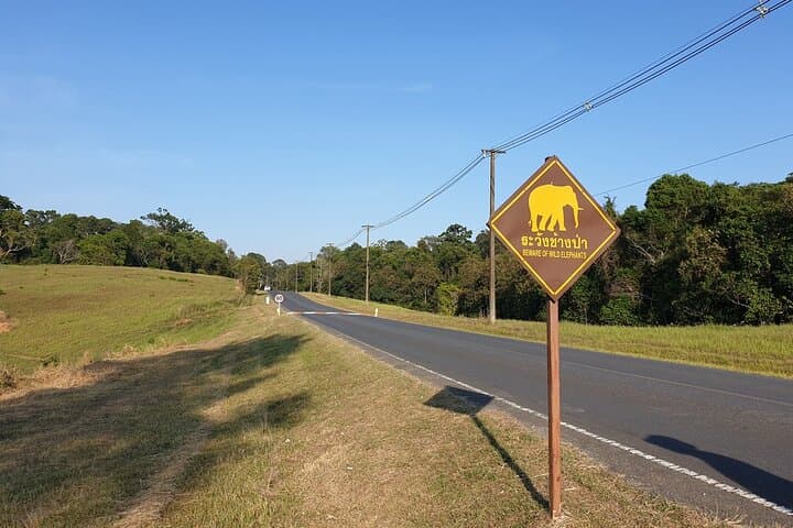 Full-Day Private Hike to Haew Narok & Haew Suwat Waterfalls in Khao Yai National Park photo 3