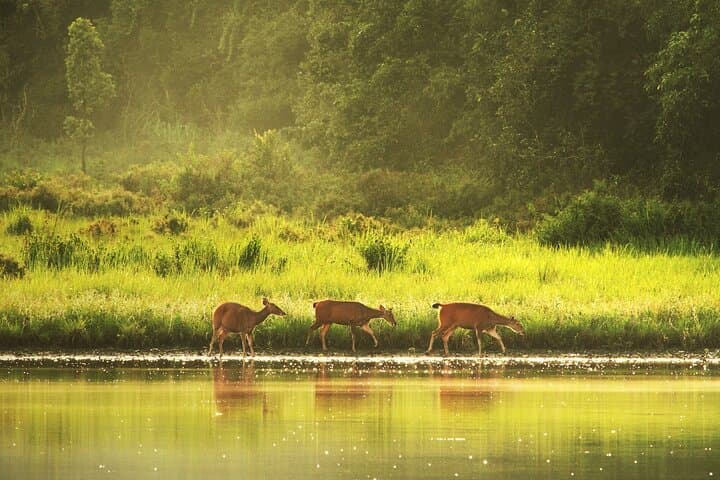 Full-Day Private Hike to Haew Narok & Haew Suwat Waterfalls in Khao Yai National Park