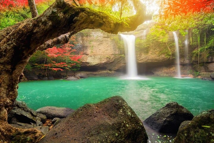 Full-Day Private Hike to Haew Narok & Haew Suwat Waterfalls in Khao Yai National Park photo 5