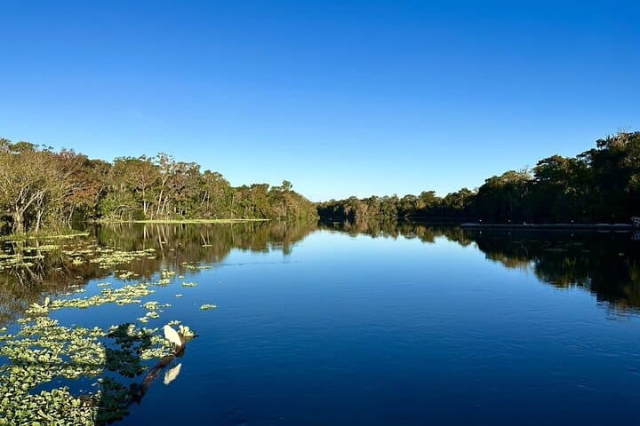 DeLeon Springs River Boat Tour: Spring-Fed Wildlife Cruise from DeLand, FL photo 2