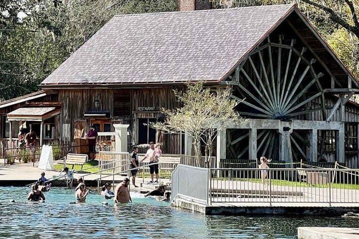 DeLeon Springs River Boat Tour: Spring-Fed Wildlife Cruise from DeLand, FL photo 3
