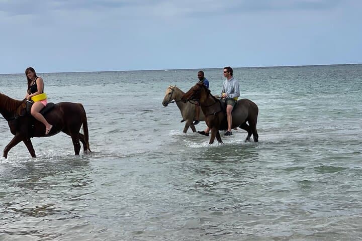 Ocho Rios Horseback Ride and Ocean Swim — Beach Ride Adventure photo 4