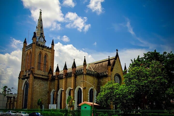 Full-Day Private Shore Tour in Port of Spain: City Sights, Botanic Gardens & Fort George