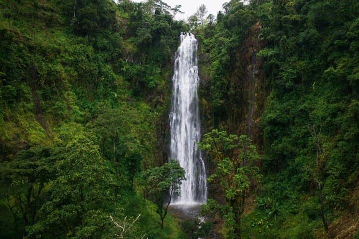 Materuni Waterfall Hike & Coffee Tour — Day Hike and Coffee Experience from Moshi