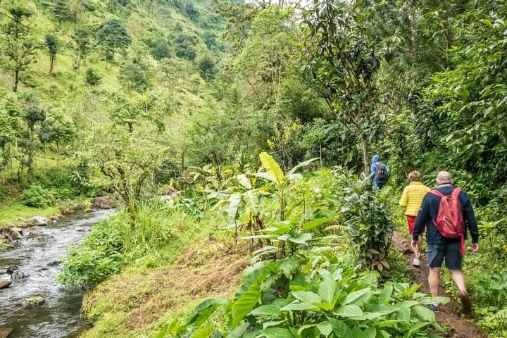 Materuni Waterfall Hike & Coffee Tour — Day Hike and Coffee Experience from Moshi photo 4