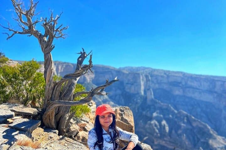 Al Hamra & Jebel Shams Day Tour from Muscat — Heritage Village, Mountain Oasis & Grand Canyon Views photo 4