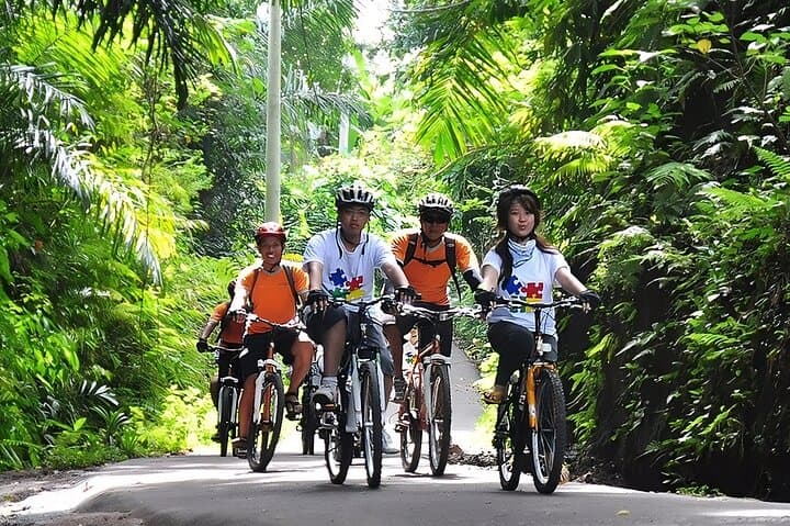 Full-Day Bali Cycling & ATV Adventure: Kintamani Volcano to Ubud Trails photo 5
