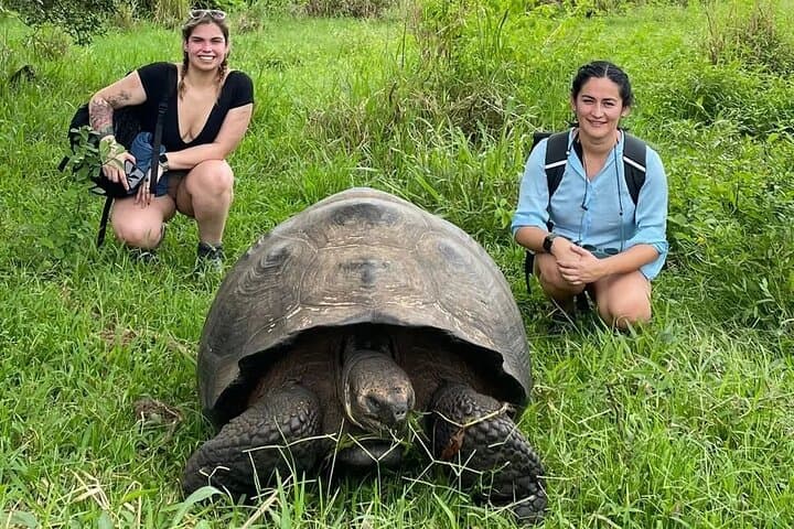 Giant Tortoise Watching and Lava Tunnels Tour — Santa Cruz Galápagos photo 1