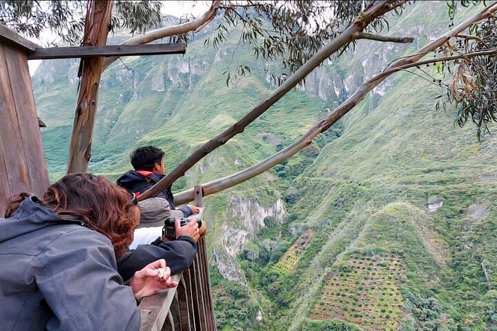 Spectacled Bear Watch in Pimampiro: Private Conservation Tour in Northern Imbabura photo 3