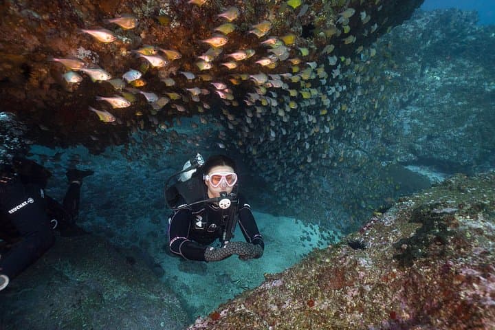 Double Dive South Solitary Island — Coffs Harbour Solitary Islands Marine Park Day Trip
