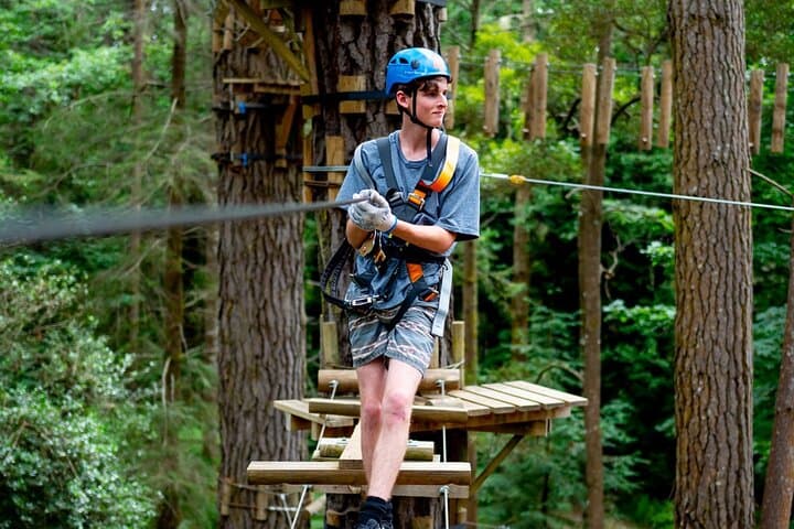 Hollybank Treetops Zipline Canopy Tour — Launceston Adventure photo 3