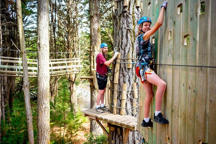 Hollybank Treetops Zipline Canopy Tour — Launceston Adventure photo 4