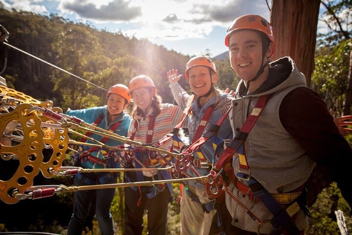 Hollybank Treetops Zipline Canopy Tour — Launceston Adventure photo 5