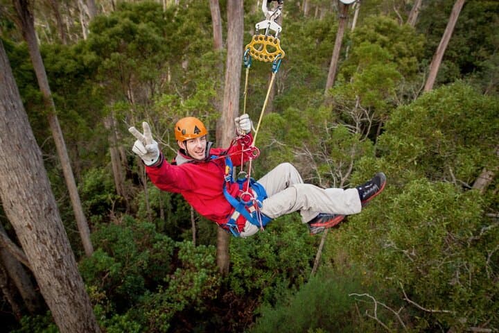 Hollybank Treetops Zipline Canopy Tour — Launceston Adventure photo 6