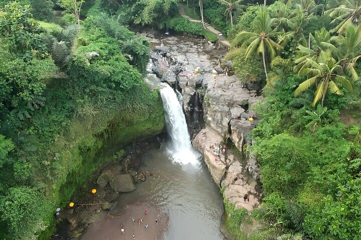 Full-Day Ubud Tour: Tegenungan Waterfall, Tegalalang Terraces & Monkey Forest