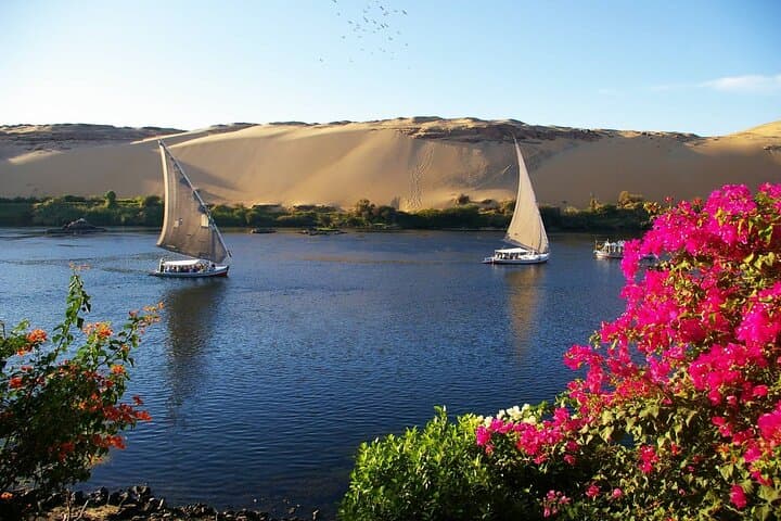 Private Felucca Trip in Aswan — Sunrise & Sunset Nile Sailing Experience photo 2
