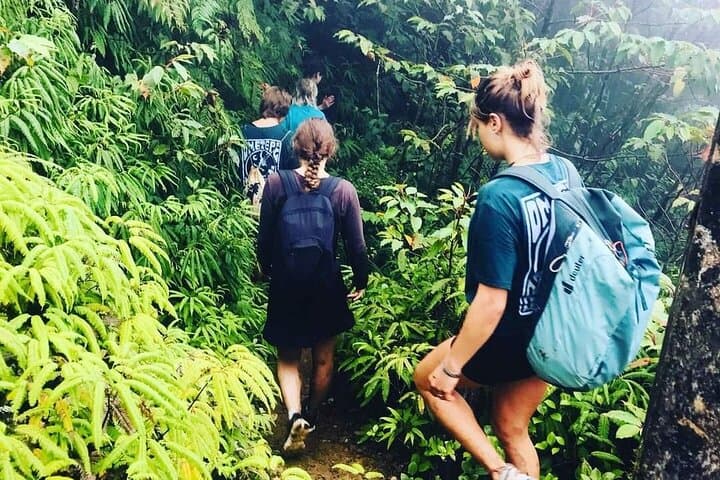 Climb Volcano Maderas: Ometepe Cloud-Forest Trek to El Mirador photo 4