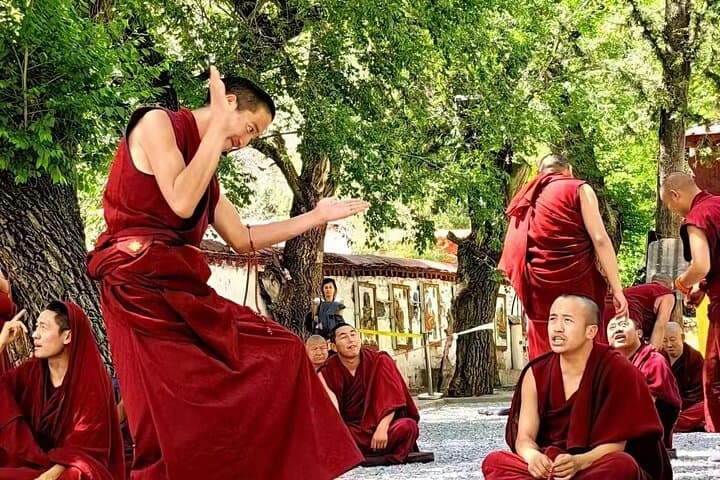 Private Guided Day Tour: Potala Palace & Sera Monastery, Lhasa photo 3