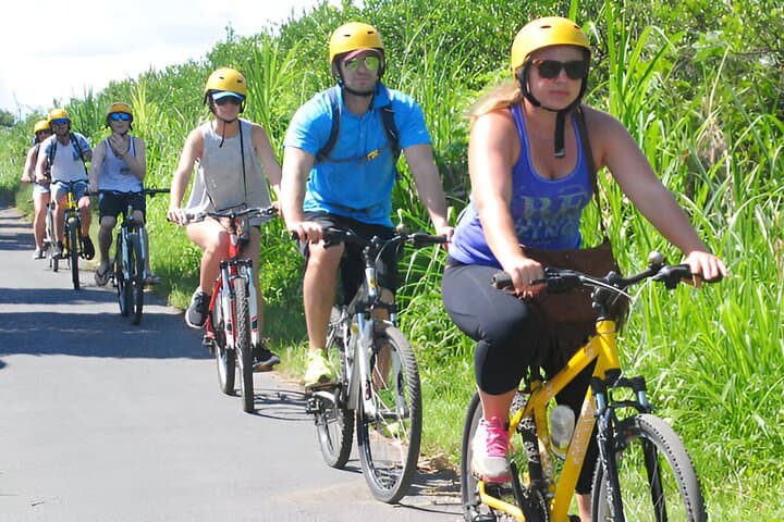 Bali Countryside Cycling Tour from Ubud - Mount Batur Views & Lunch photo 2