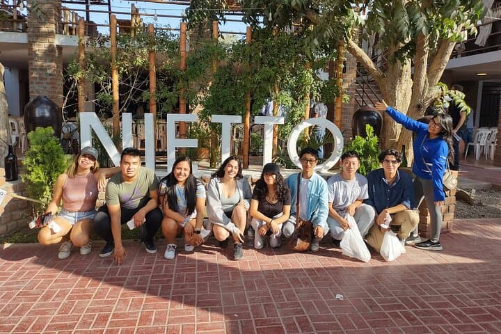 Lima to Ballestas, Ica & Huacachina: Private Tour with Pisco Tasting & Sandboarding photo 4