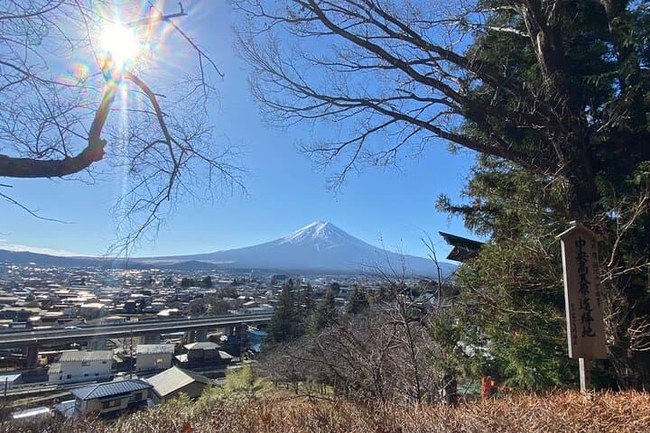 Private Mt. Fuji & Lake Kawaguchi Day Trip — Ropeway, Caves & Cultural Stops photo 6